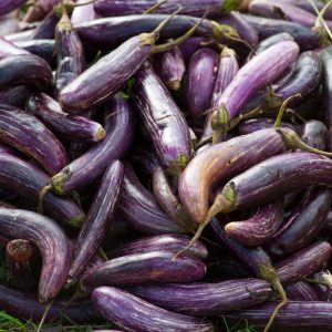 Berenjena
